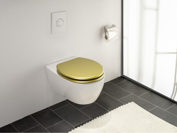Záchodová doska 38 x 41 cm Aldeno – Wenko