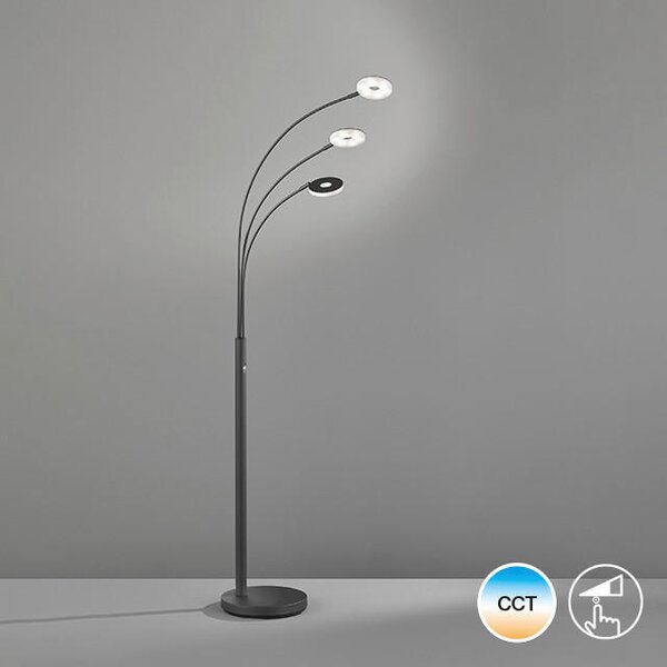 OBLÚKOVÁ LAMPA, 45/185 cm Fischer & Honsel - Online Only bytové doplnky, Online Only