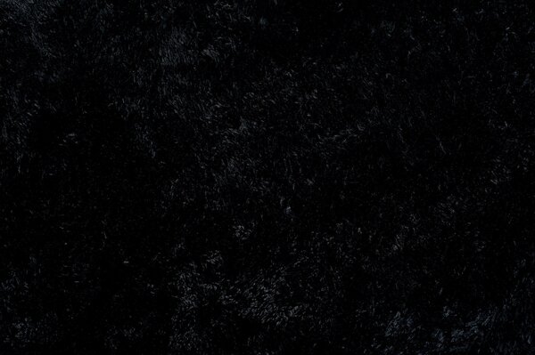 TA Koberec BLACK BLACK SILK Čierny Obdĺžnikový Rozmer: 80x150 cm