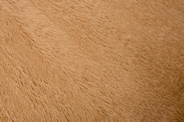 TA Koberec BEIGE BEIGE SILK Béžový Obdĺžnikový Rozmer: 120x170 cm