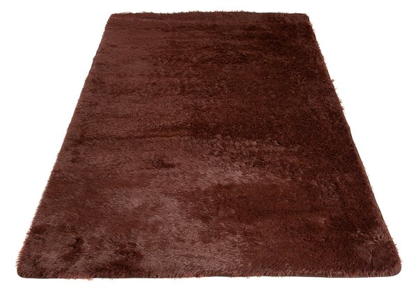 TA Koberec BROWN BROWN SILK Hnedý Obdĺžnikový Rozmer: 80x150 cm