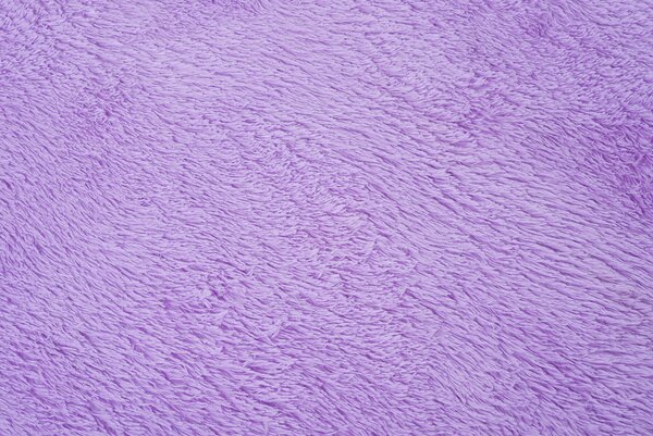 TA Koberec LILAC LILAC SILK Fialový Obdĺžnikový Rozmer: 80x150 cm
