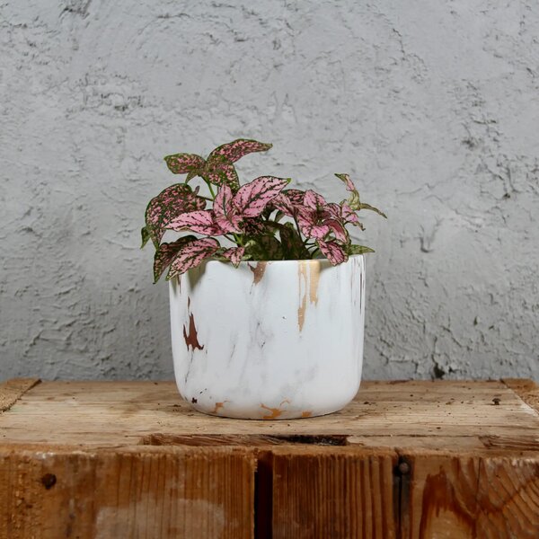 Kvetináč White Marble Ø 9 cm