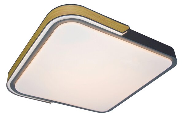STROPNÉ LED SVIETIDLO, 42/8,5/42 cm Rabalux - Interiérové svietidlá