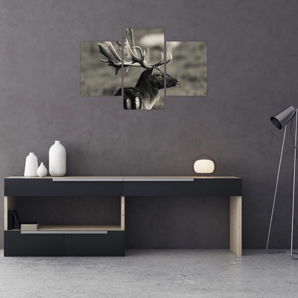 Obraz - Jeleň (90x60 cm)