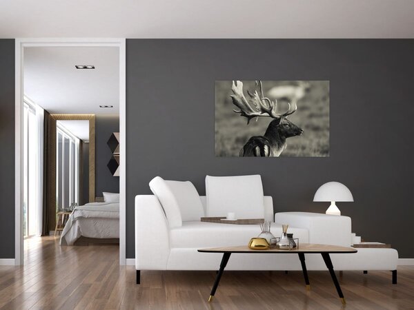 Obraz - Jeleň (90x60 cm)