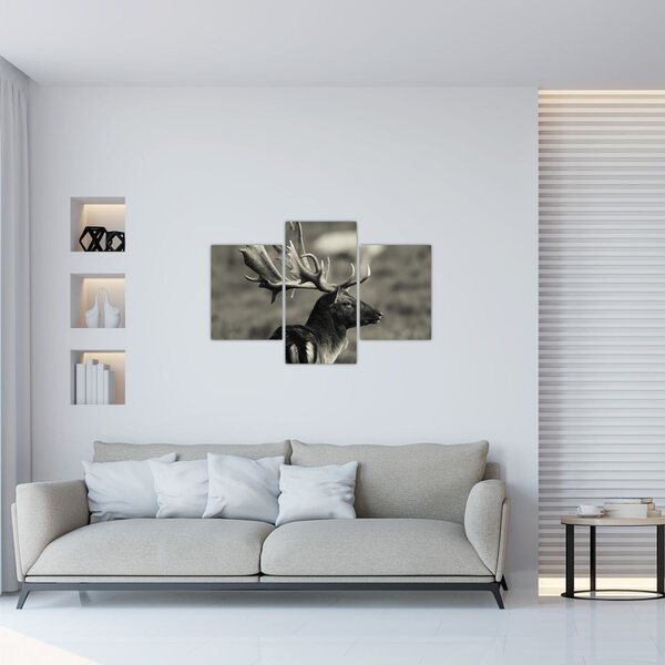 Obraz - Jeleň (90x60 cm)