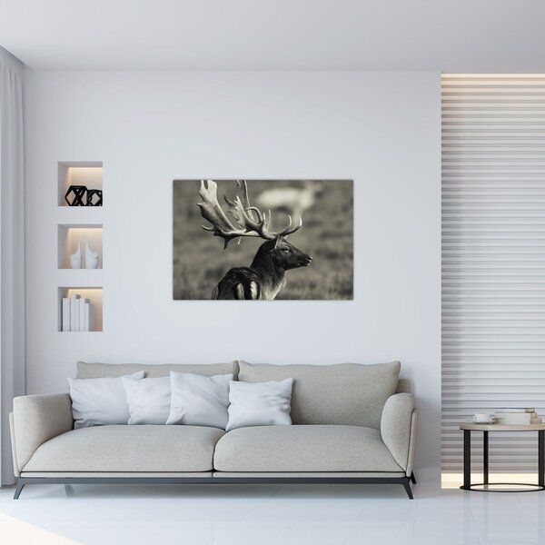 Obraz - Jeleň (90x60 cm)