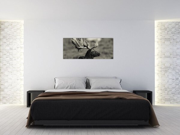 Obraz - Jeleň (120x50 cm)