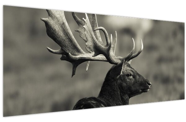 Obraz - Jeleň (120x50 cm)