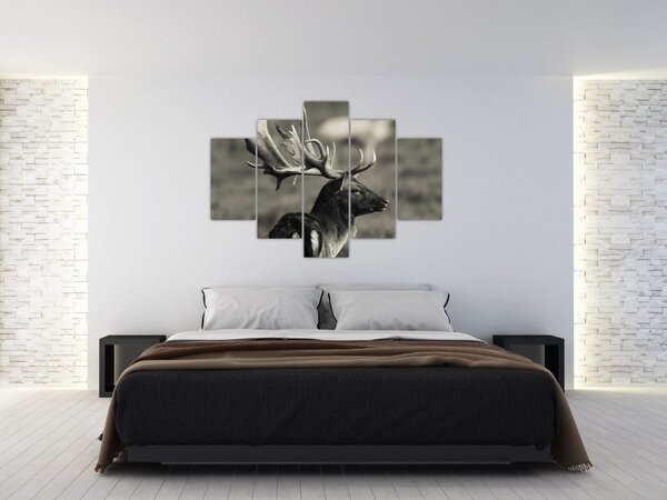 Obraz - Jeleň (150x105 cm)