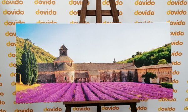 Obraz Provensálsko s levanduľovými poľami