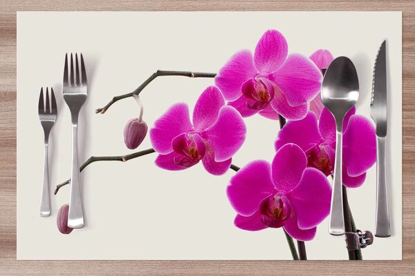 Prestieranie Orchidea ružová