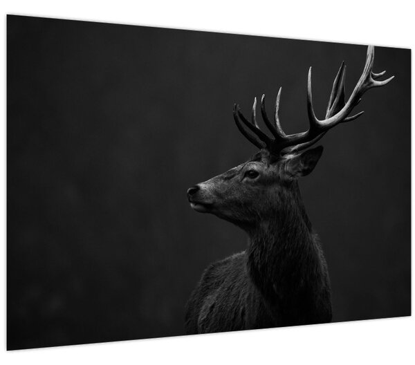 Obraz - Portrét jeleňa (90x60 cm)