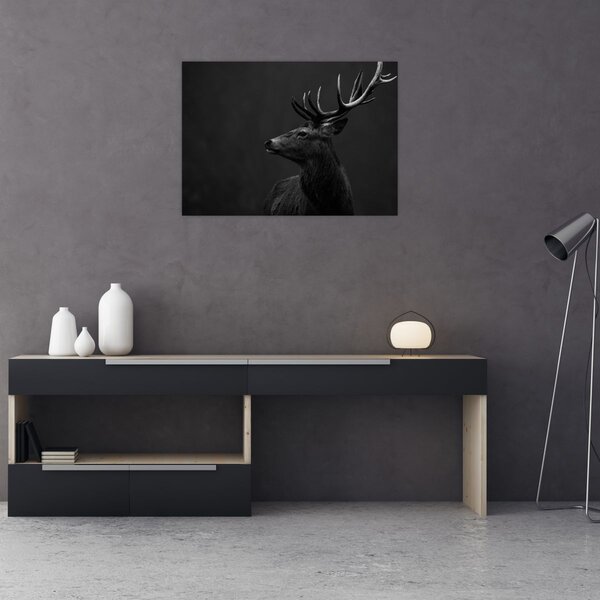 Obraz - Portrét jeleňa (70x50 cm)