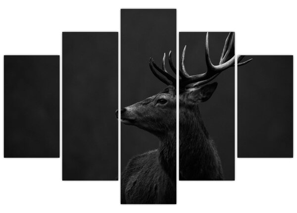 Obraz - Portrét jeleňa (150x105 cm)