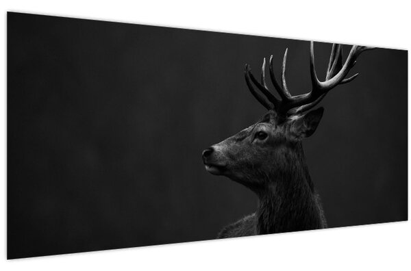 Obraz - Portrét jeleňa (120x50 cm)