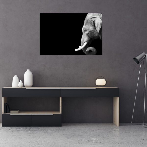 Obraz - Slon (90x60 cm)