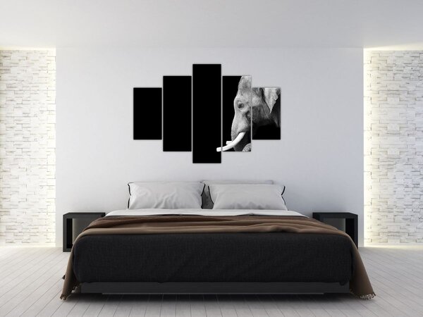 Obraz - Slon (150x105 cm)