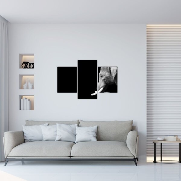 Obraz - Slon (90x60 cm)