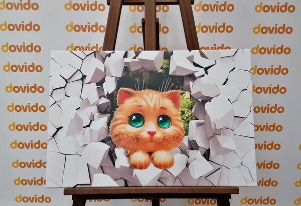 Obraz roztomilá mačička