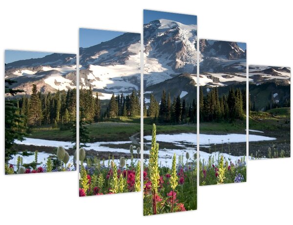 Obraz - Mount Rainier (150x105 cm)