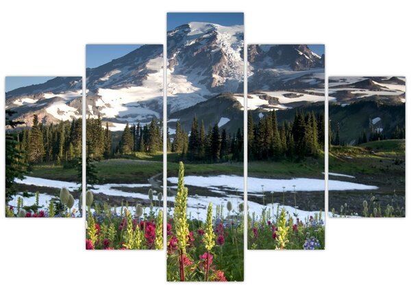 Obraz - Mount Rainier (150x105 cm)