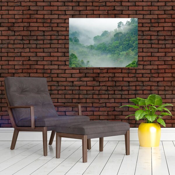 Obraz - Ranná hmla (70x50 cm)