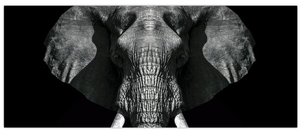 Obraz - Slon na čiernom pozadí (120x50 cm)