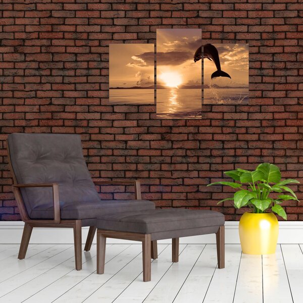 Obraz - Delfín pri západe slnka (90x60 cm)