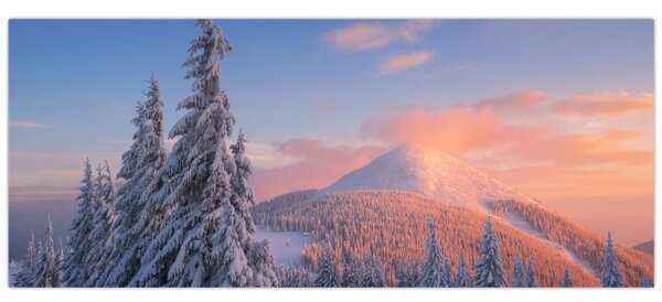 Obraz - Zimná krajina (120x50 cm)