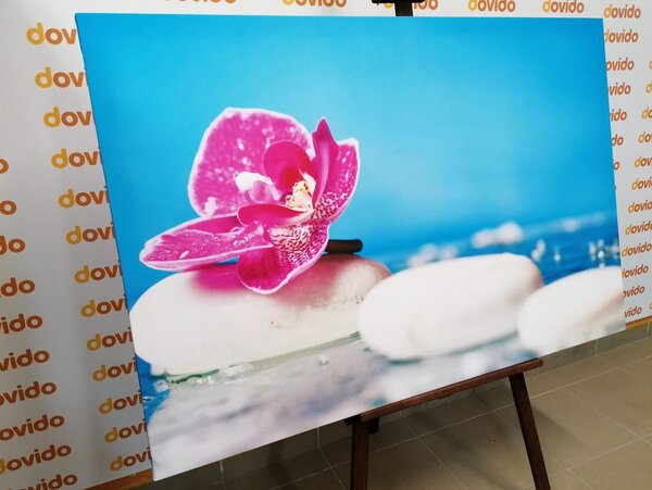 Obraz orchidea a Zen kamene