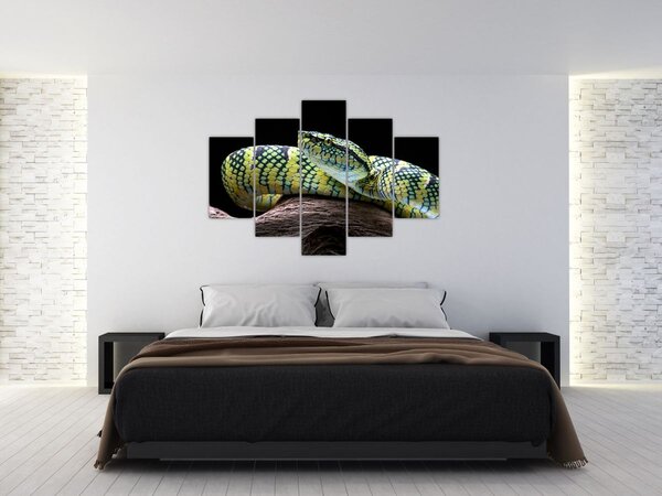 Obraz - Štrkáč Waglerov (150x105 cm)