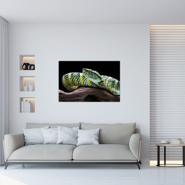 Obraz - Štrkáč Waglerov (90x60 cm)