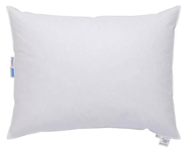VANKÚŠ, 70/90 cm Sleeptex - Prikrývky & vankúše
