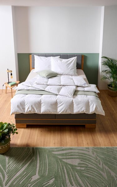 CELOROČNÁ PRIKRÝVKA, 140/200 cm, perie, páperie Sleeptex - Prikrývky & vankúše