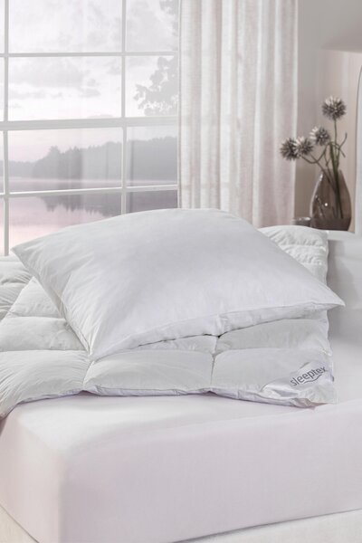 VANKÚŠ, 70/90 cm Sleeptex - Prikrývky & vankúše