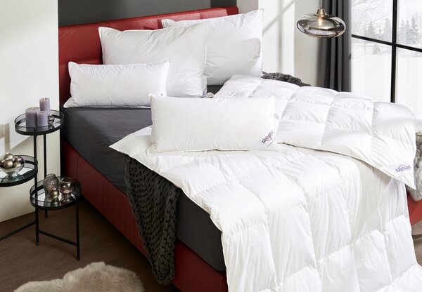 CELOROČNÁ PRIKRÝVKA, 140/200 cm, perie, páperie Sleeptex - Prikrývky & vankúše