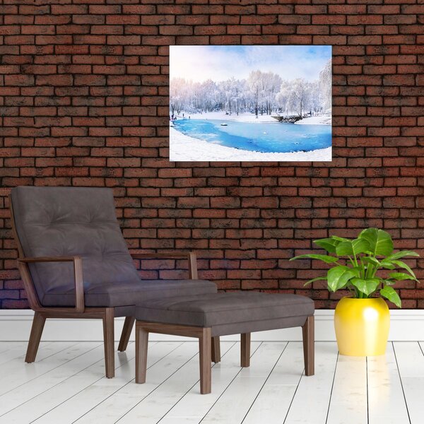 Obraz - Ľadové jazero (70x50 cm)