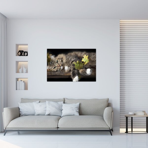 Obraz - Ležiaca mačka (90x60 cm)
