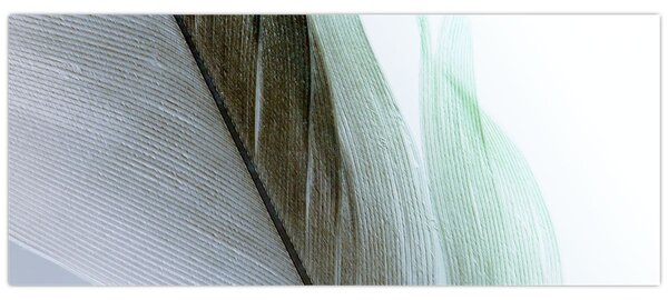 Obraz - Perie, makro (120x50 cm)