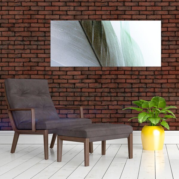 Obraz - Perie, makro (120x50 cm)