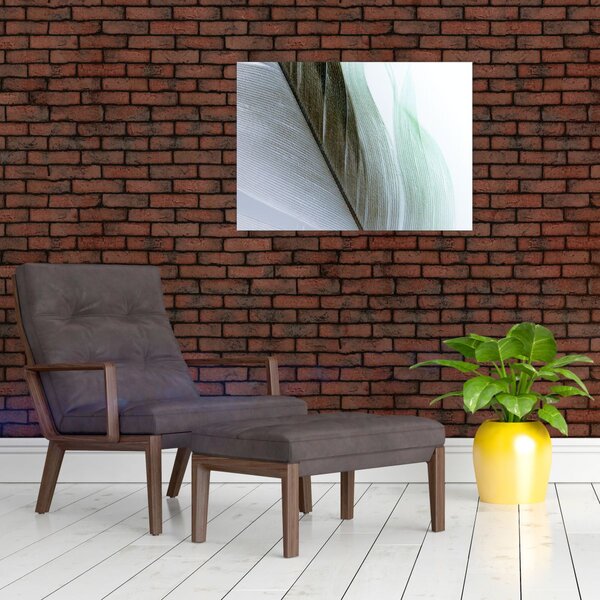 Obraz - Perie, makro (70x50 cm)