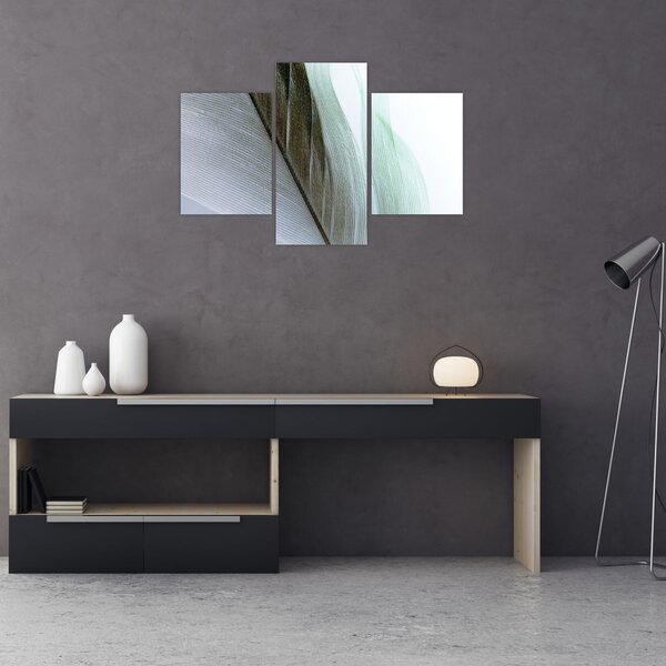 Obraz - Perie, makro (90x60 cm)