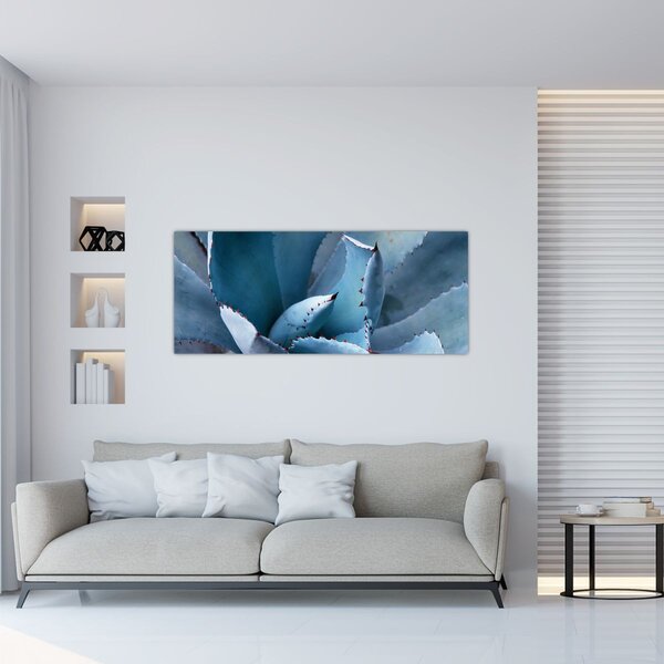 Obraz - Agáve (120x50 cm)