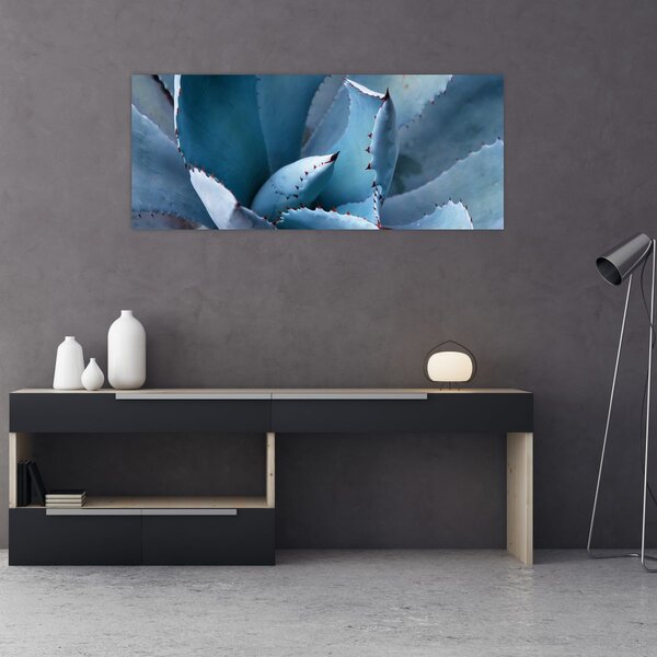 Obraz - Agáve (120x50 cm)