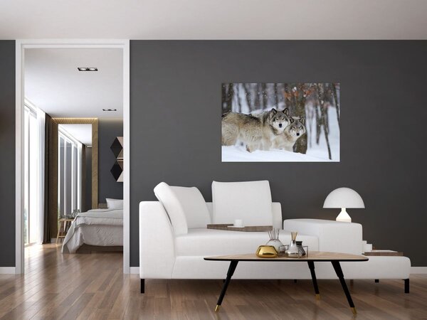 Obraz - Vlci v zime (90x60 cm)