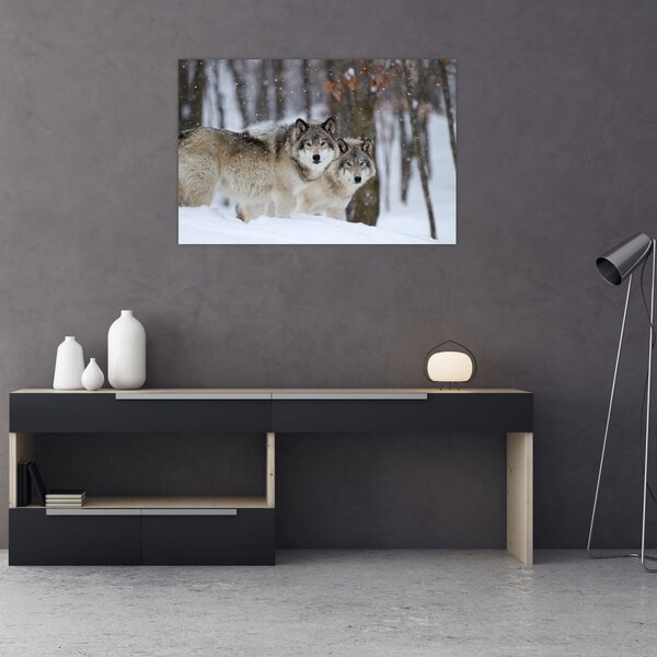 Obraz - Vlci v zime (90x60 cm)