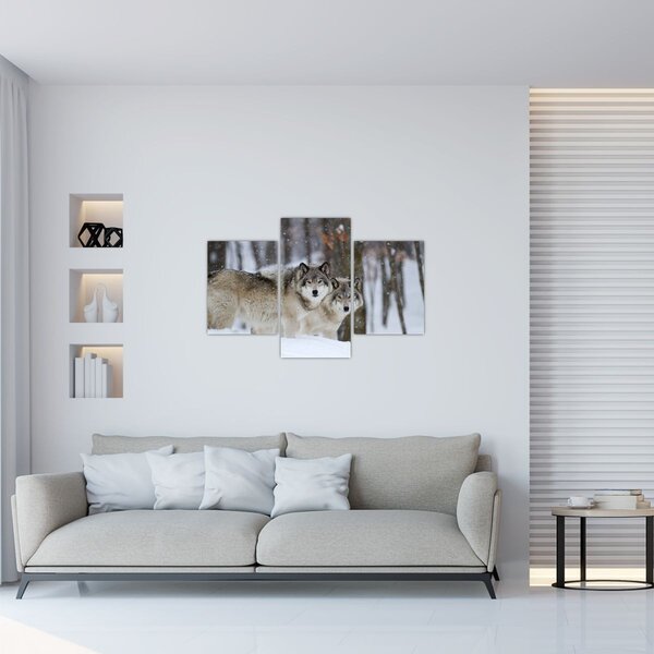 Obraz - Vlci v zime (90x60 cm)