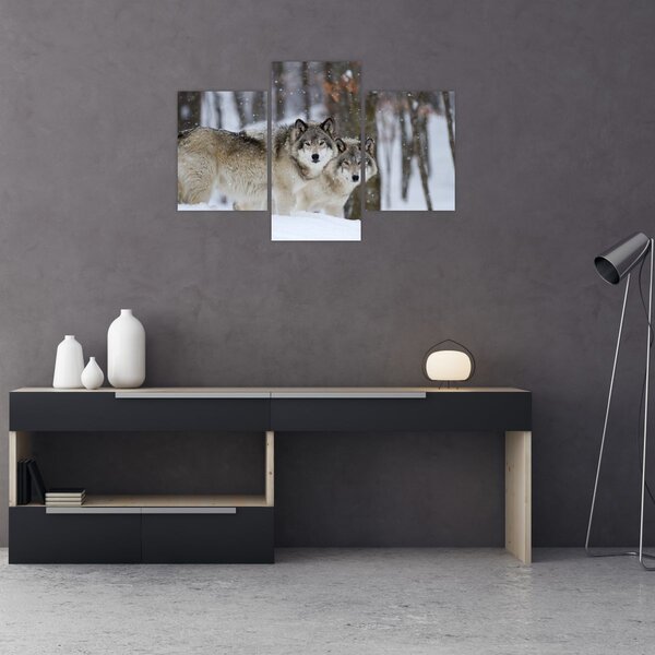 Obraz - Vlci v zime (90x60 cm)